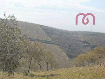 Terreno para Venda em Castelo Melhor