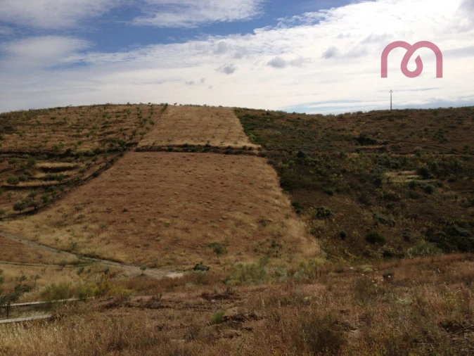 Terreno para Venda em Castelo Melhor Foto 12