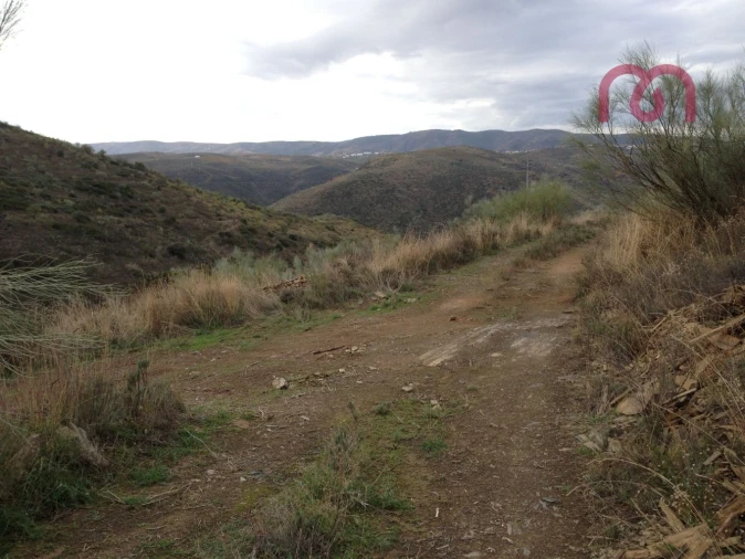 Terreno para Venda em Castelo Melhor Foto 13