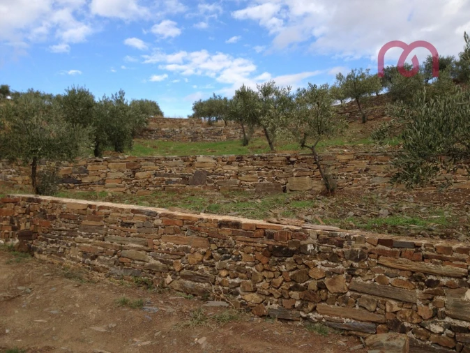 Terreno para Venda em Castelo Melhor Foto 6