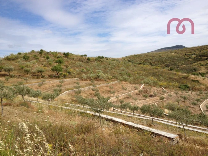 Terreno para Venda em Castelo Melhor Foto 5