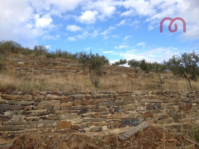 Terreno para Venda em Castelo Melhor Foto 7
