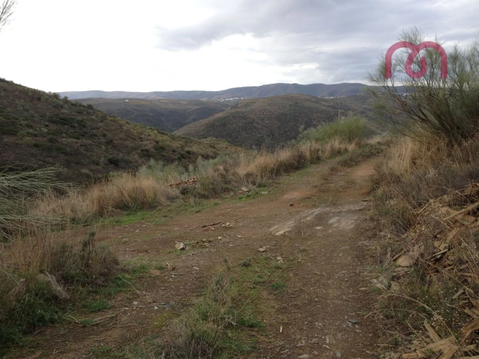 Terreno para Venda em Castelo Melhor Foto 13