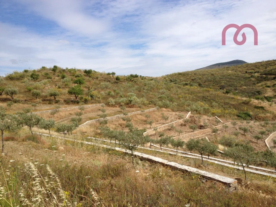 Terreno para Venda em Castelo Melhor Foto 5