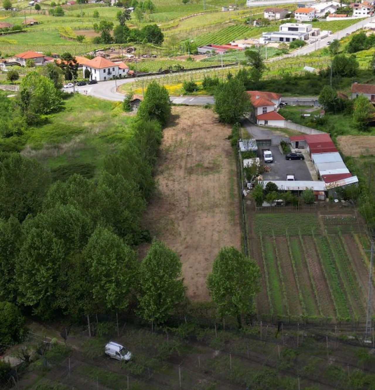 Terreno Agricola ou Rústico para Venda em Idães Foto 11