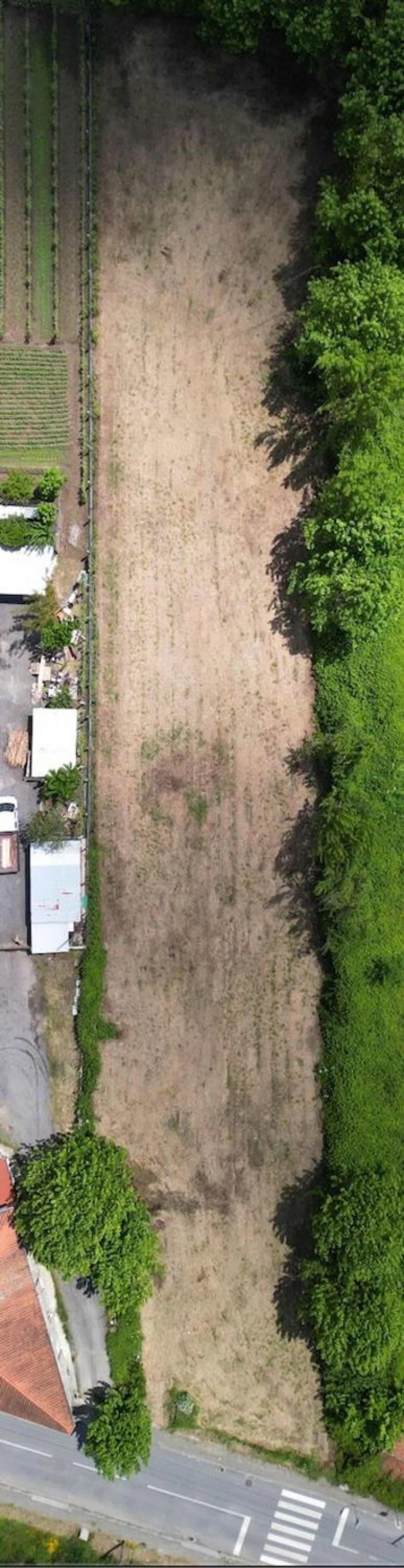 Terreno Agricola ou Rústico para Venda em Idães Foto 12