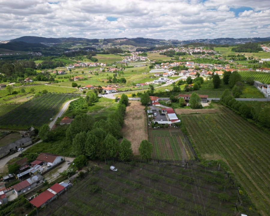 Terreno Agricola ou Rústico para Venda em Idães Foto 3