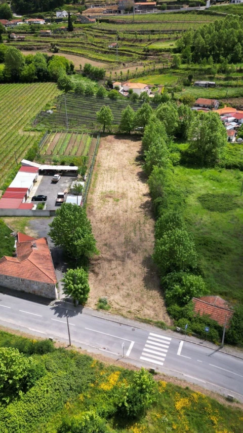 Terreno Agricola ou Rústico para Venda em Idães