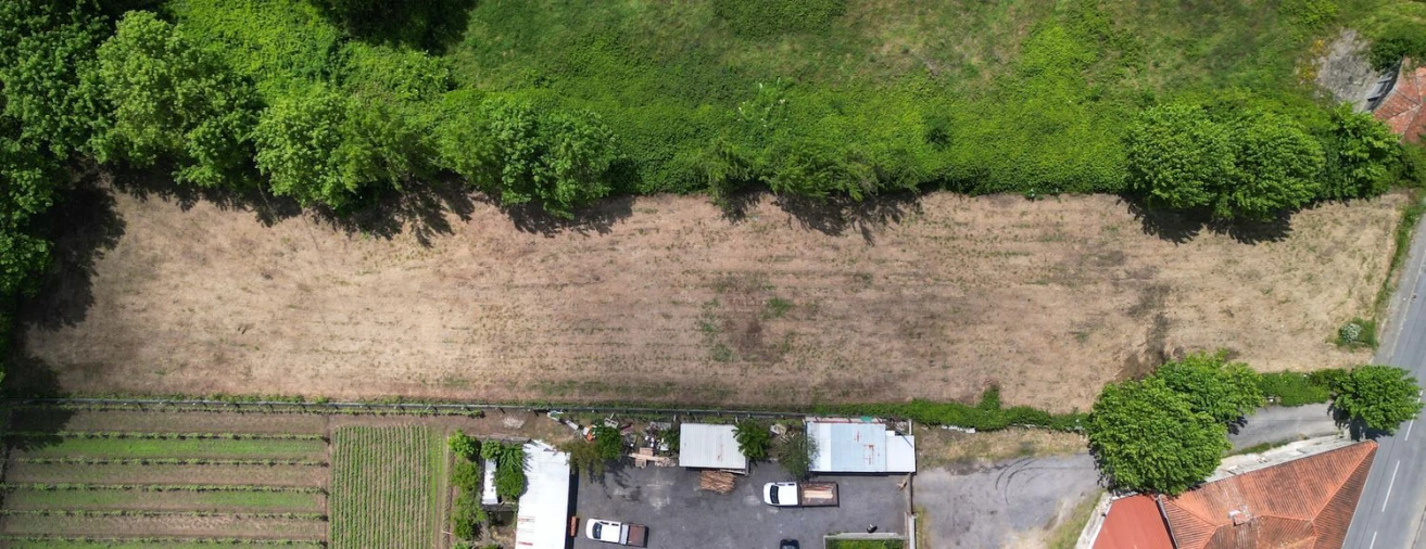 Terreno Agricola ou Rústico para Venda em Idães Foto 10