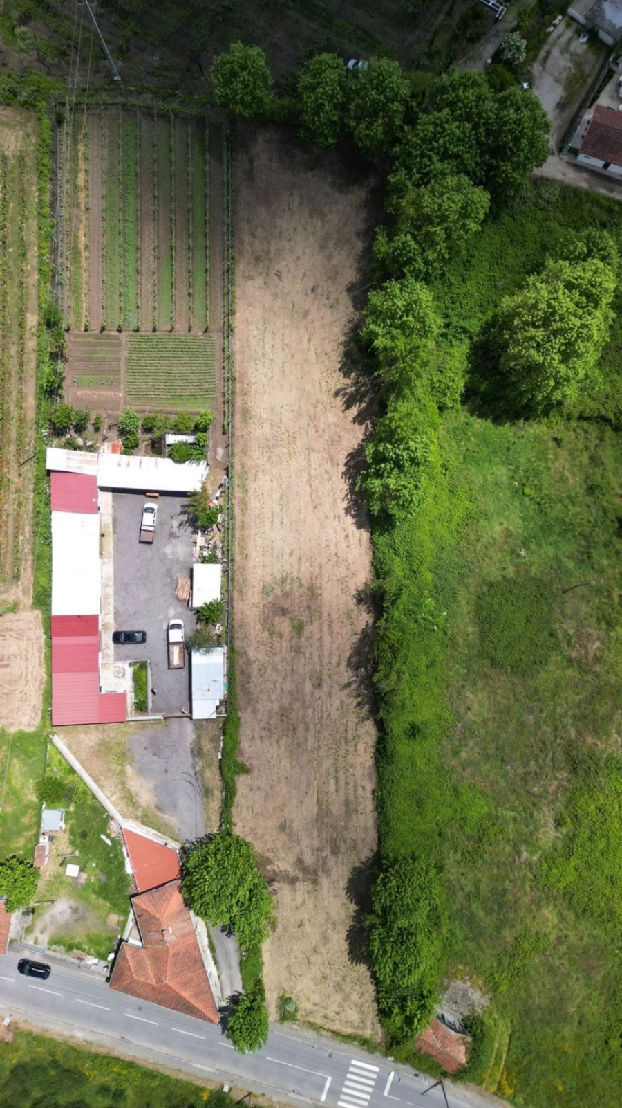 Terreno Agricola ou Rústico para Venda em Idães Foto 5