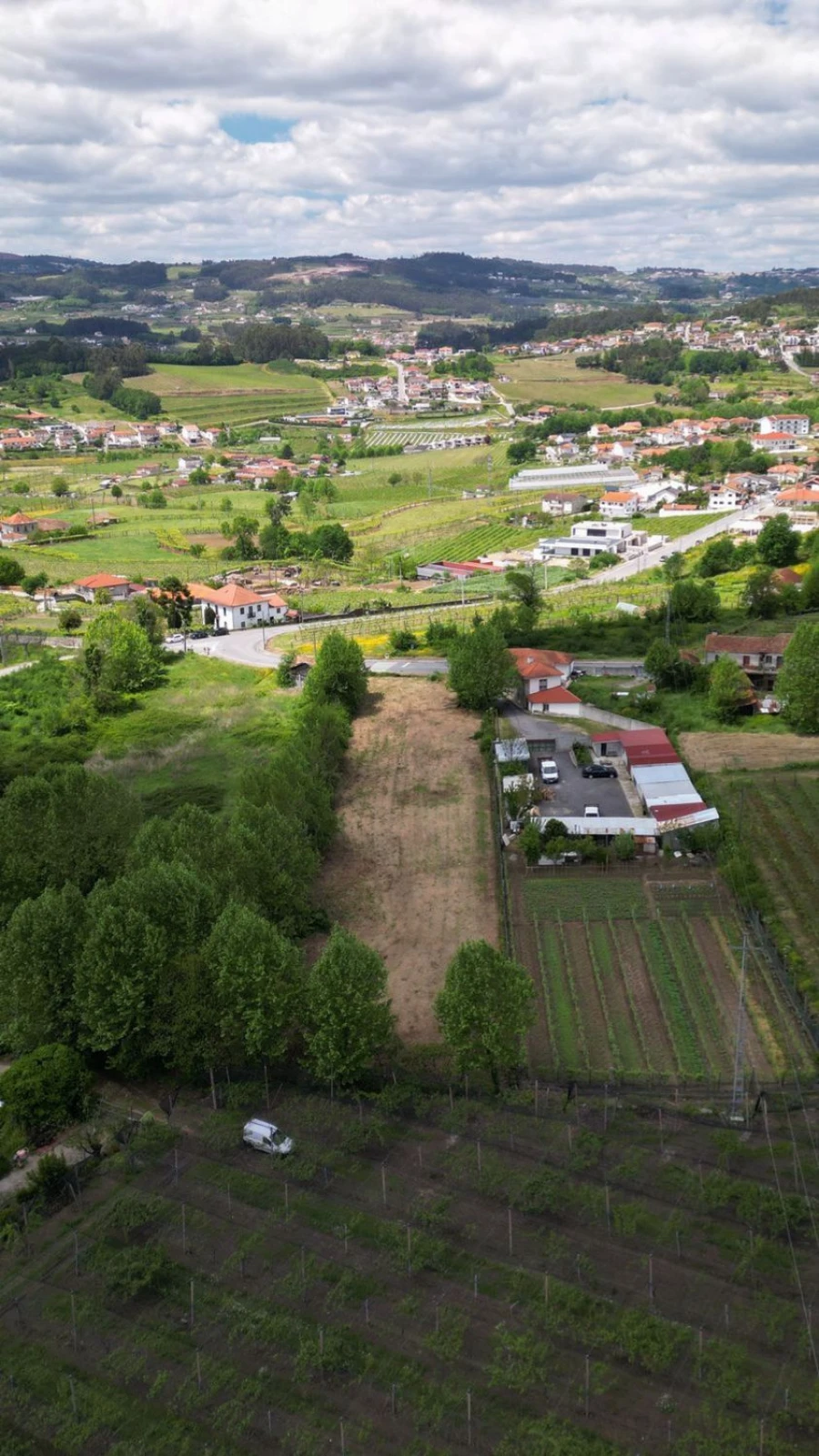 Terreno Agricola ou Rústico para Venda em Idães Foto 6