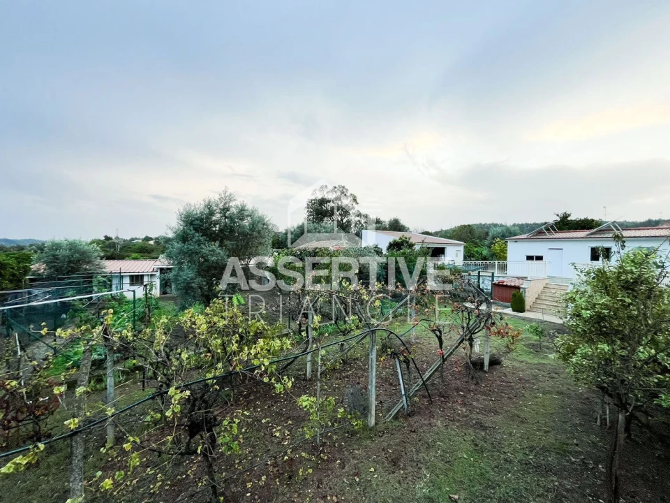 Moradia T5 para Venda em Abrantes (São Vicente e São João) e Alferrarede Foto 6