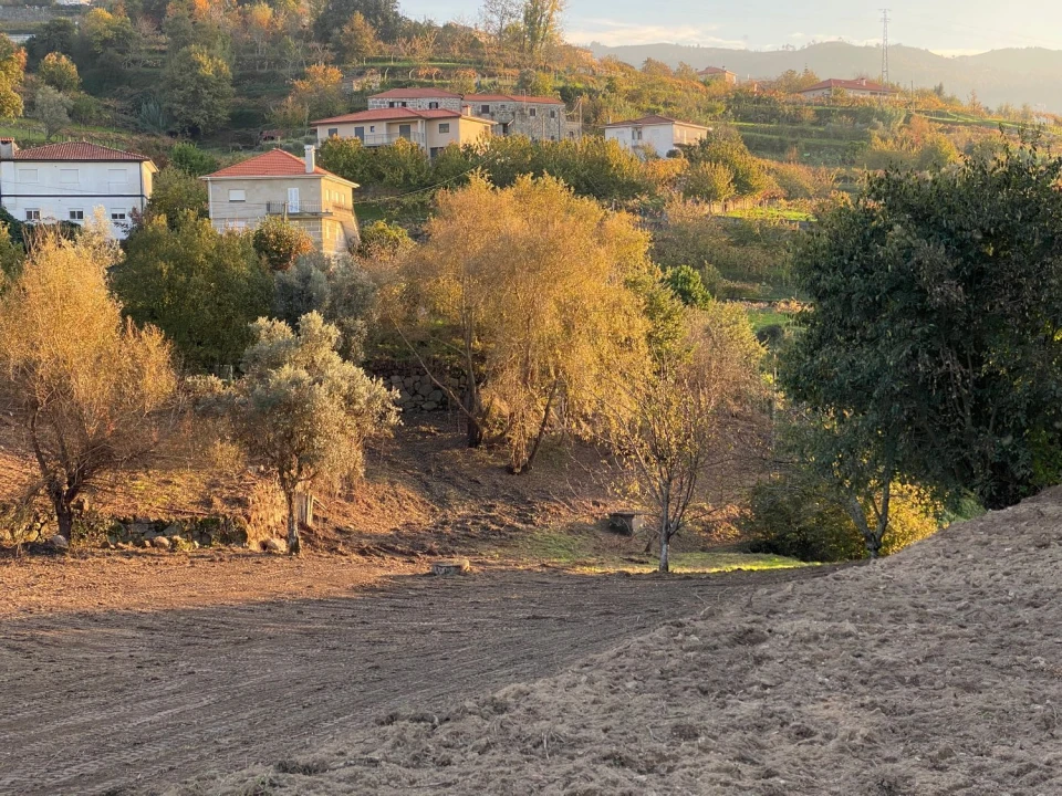 Terreno Agricola ou Rústico para Venda em Freigil e Miomães Foto 16