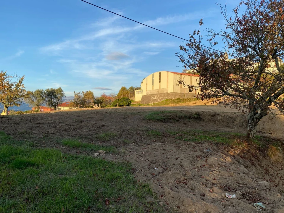 Terreno Agricola ou Rústico para Venda em Freigil e Miomães Foto 19