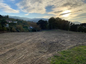 Terreno Agricola ou Rústico para Venda em Freigil e Miomães