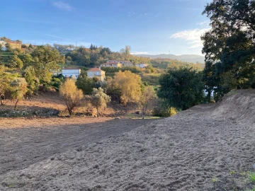 Terreno Agricola ou Rústico para Venda em Freigil e Miomães