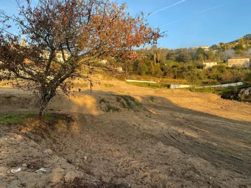 Terreno Agricola ou Rústico para Venda em Freigil e Miomães