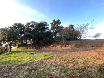 Terreno Agricola ou Rústico para Venda em Freigil e Miomães