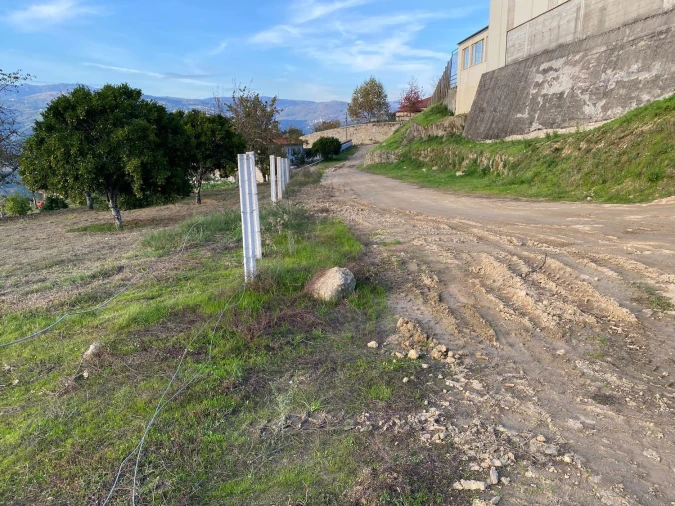 Terreno Agricola ou Rústico para Venda em Freigil e Miomães Foto 11