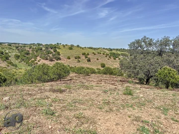 Terreno para Venda em Altura