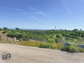 Terreno para Venda em Altura
