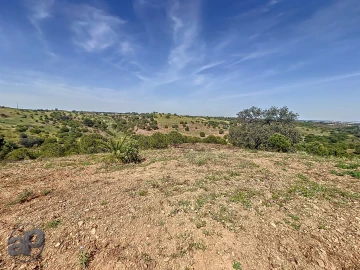 Terreno para Venda em Altura