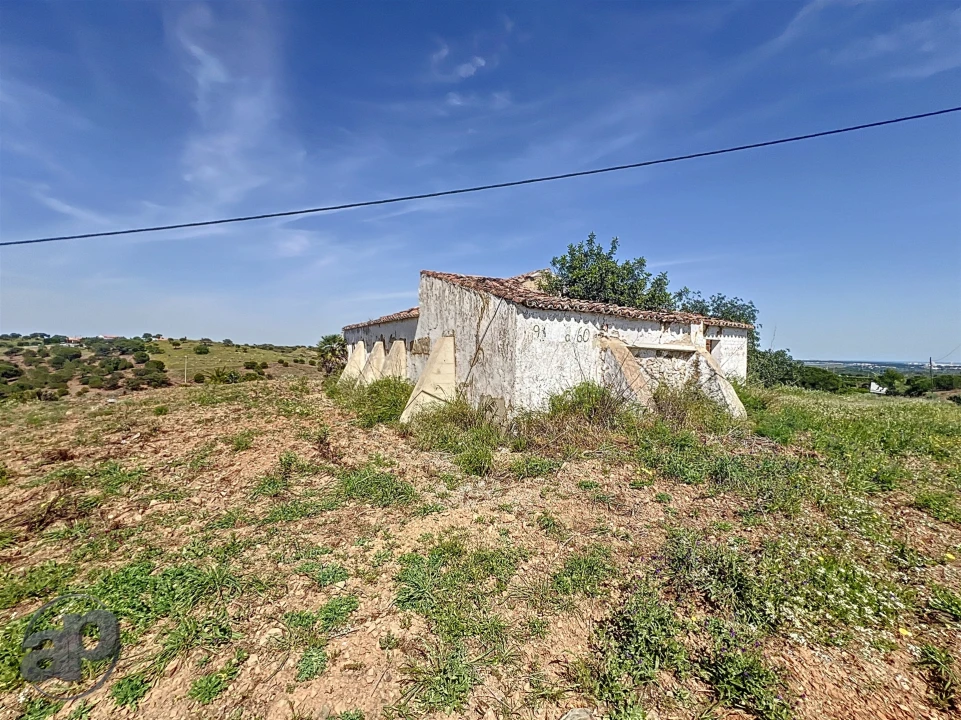 Terreno para Venda em Altura Foto 6