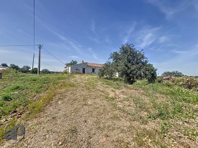 Terreno para Venda em Altura Foto 2