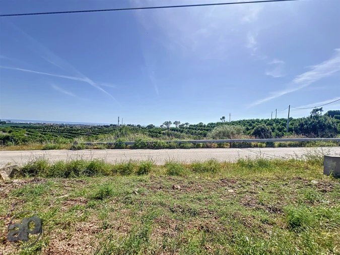 Terreno para Venda em Altura Foto 3