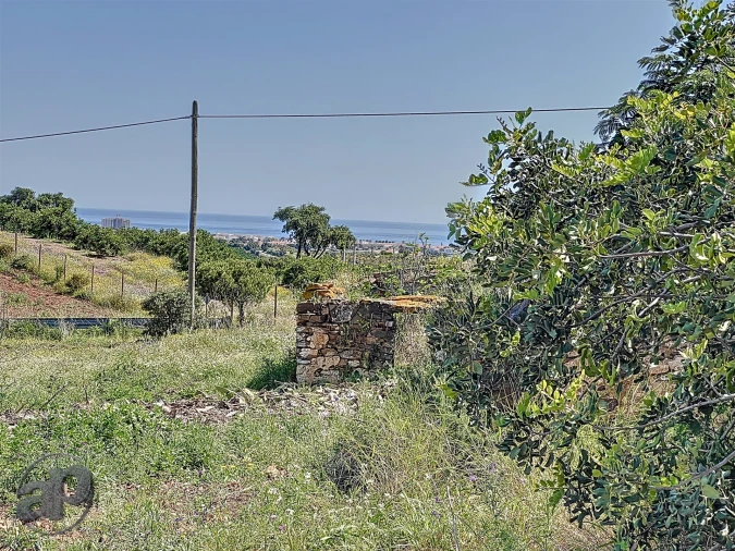 Terreno para Venda em Altura Foto 9