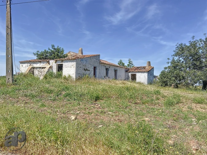 Terreno para Venda em Altura Foto 13