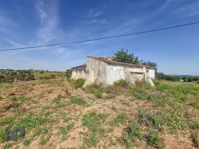 Terreno para Venda em Altura Foto 6