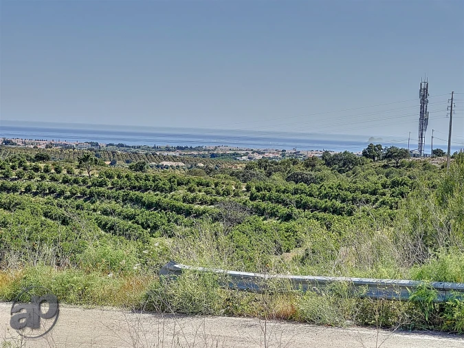 Terreno para Venda em Altura Foto 4