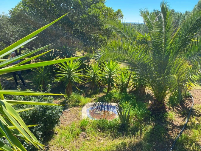Moradia T2 para Venda em Vila Nova de Cacela Foto 25