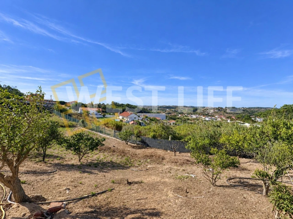 Terreno para Venda em Santo Isidoro Foto 18