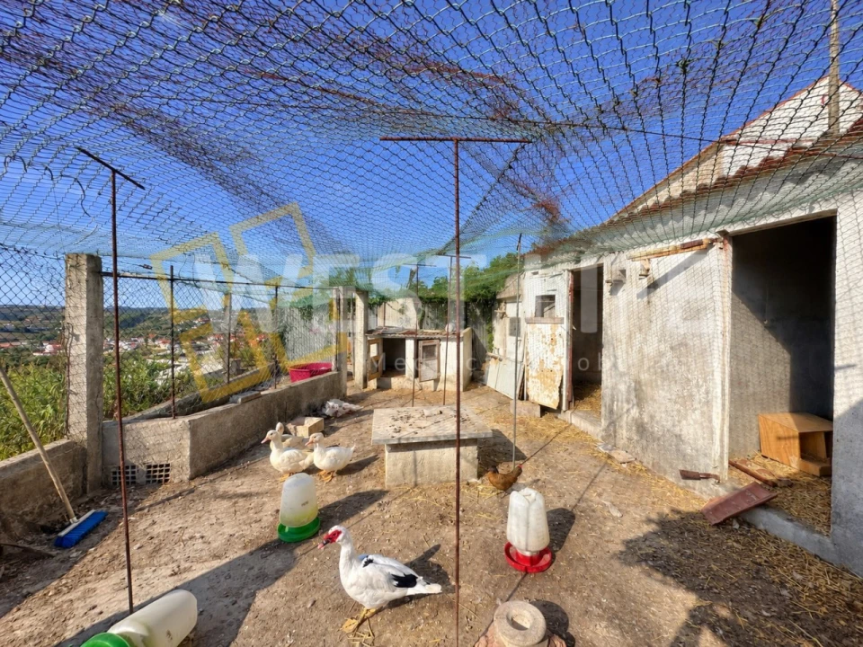 Terreno para Venda em Santo Isidoro Foto 19