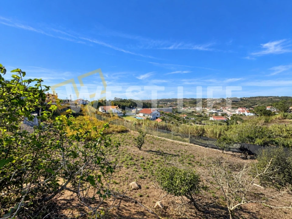Terreno para Venda em Santo Isidoro Foto 21