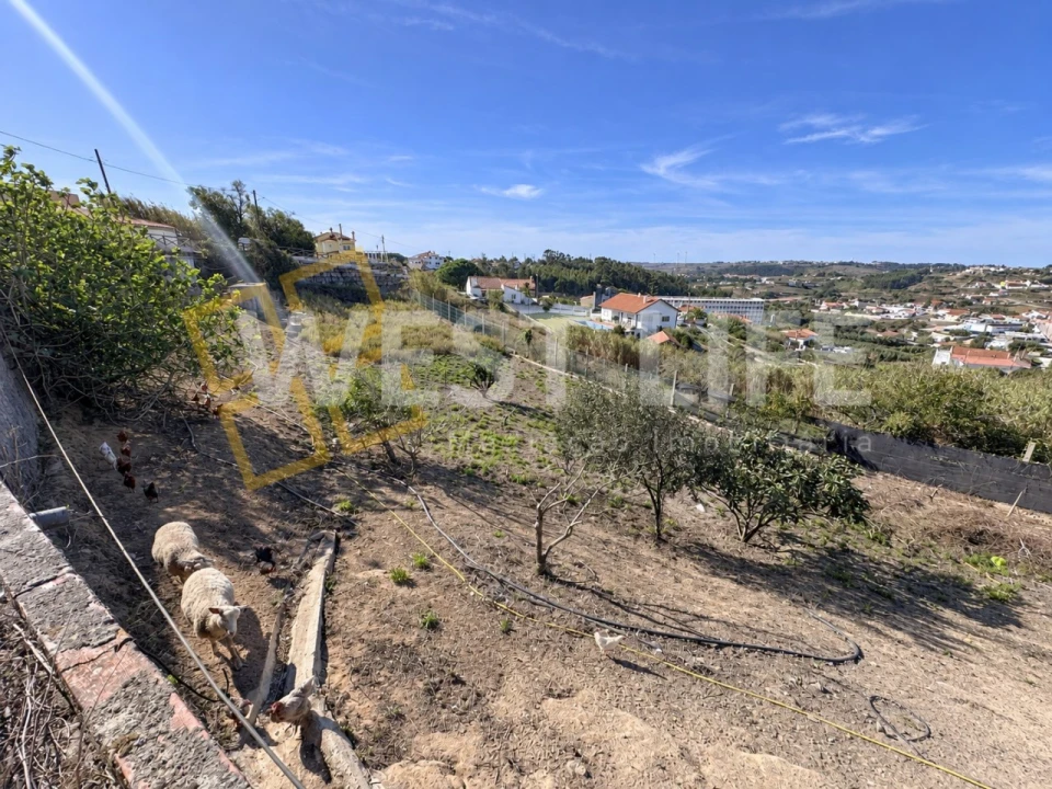 Terreno para Venda em Santo Isidoro Foto 22