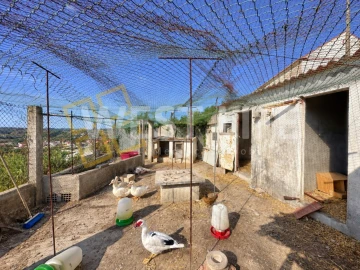 Terreno para Venda em Santo Isidoro