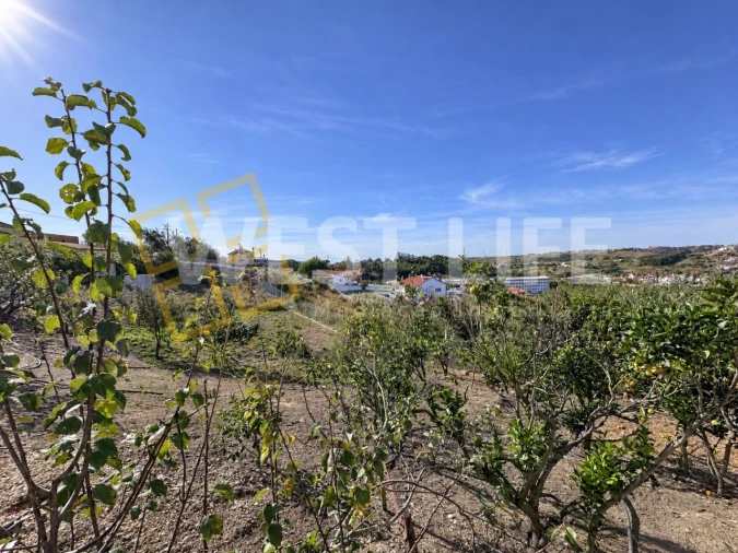 Terreno para Venda em Santo Isidoro Foto 23
