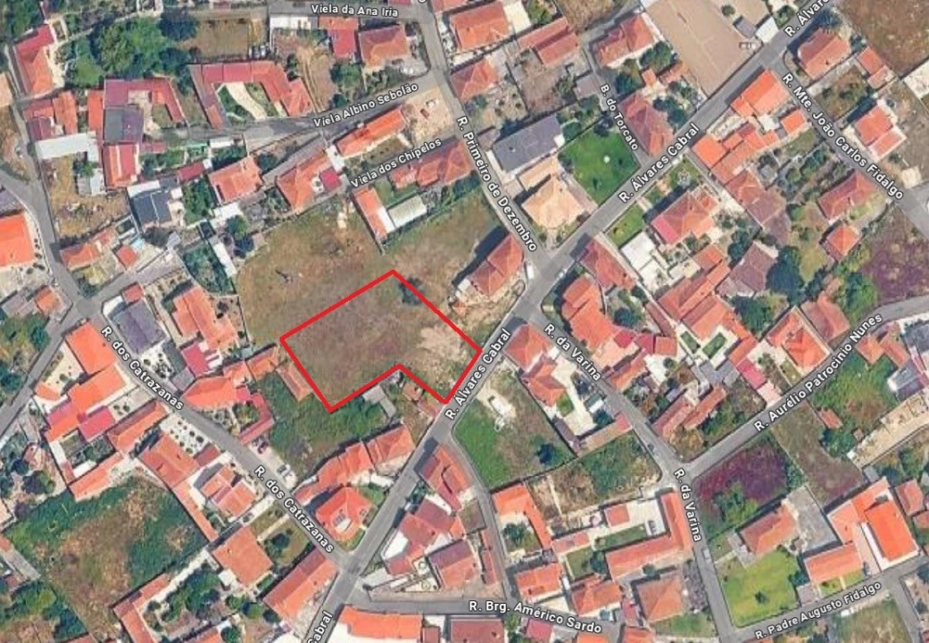 Terreno para Venda em Monte Foto 1