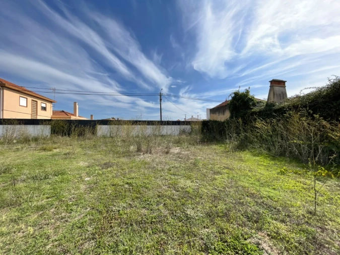 Terreno para Venda em Monte Foto 2