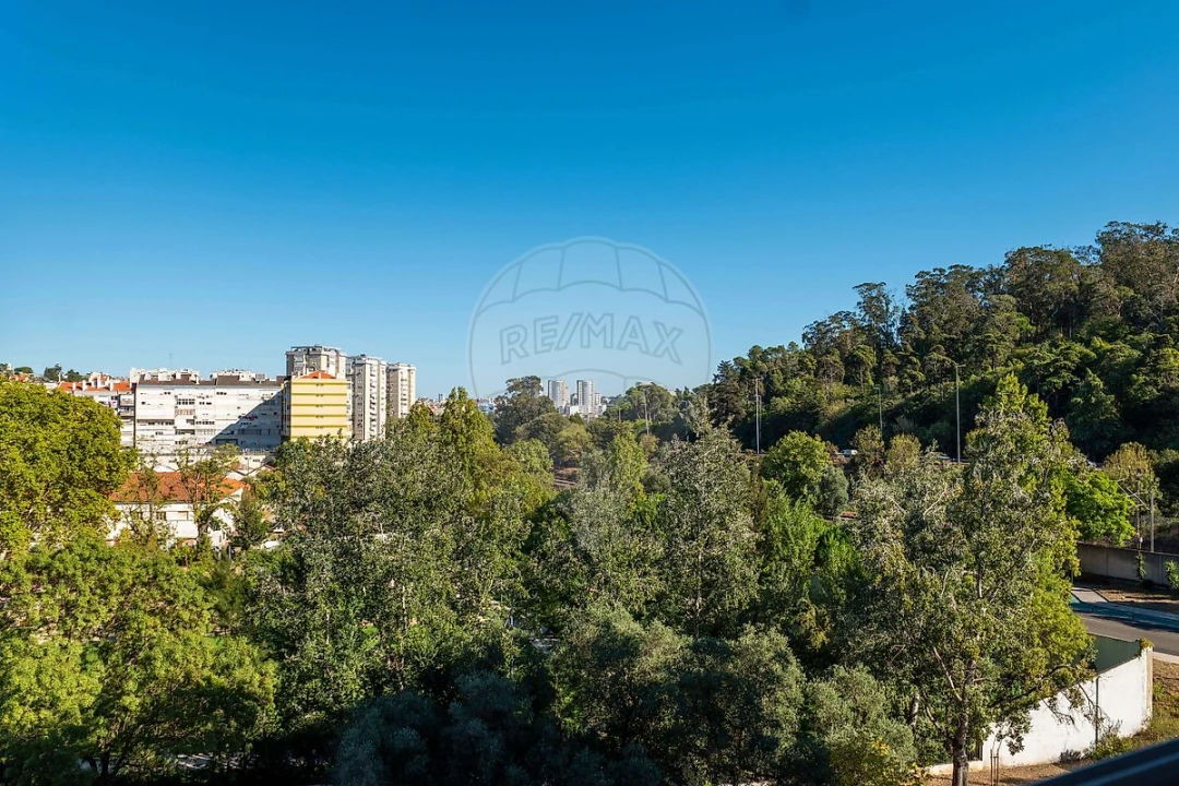 Apartamento T4 para Venda em São Domingos de Benfica Foto 5