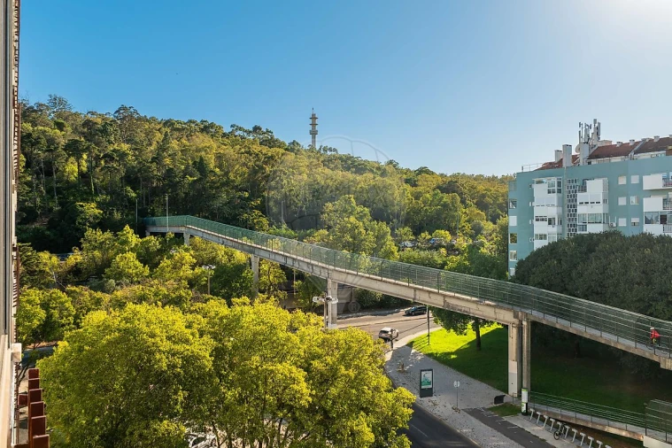 Apartamento T4 para Venda em São Domingos de Benfica Foto 9