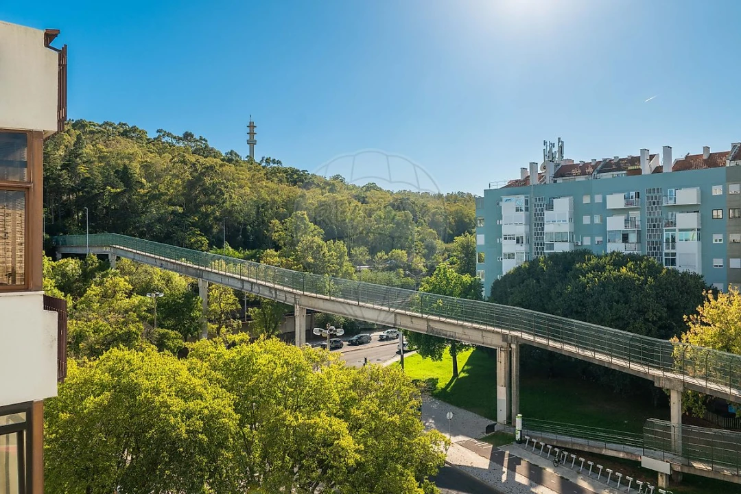 Apartamento T4 para Venda em São Domingos de Benfica Foto 4