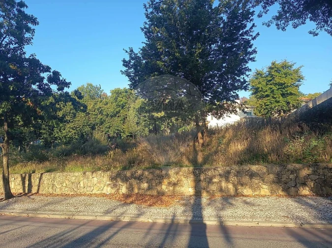 Terreno para Venda em São João da Madeira Foto 3