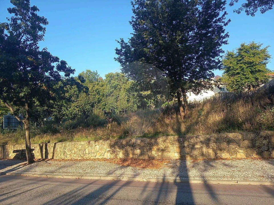 Terreno para Venda em São João da Madeira Foto 4