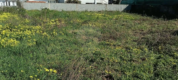 Terreno para Venda em Paços de Brandão