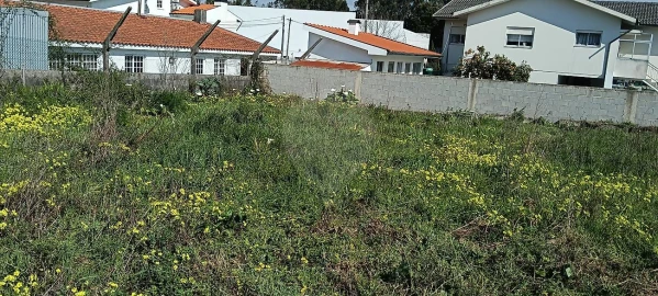 Terreno para Venda em Paços de Brandão