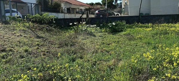 Terreno para Venda em Paços de Brandão